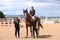 Darius Des Vignes Du Theil ridden by Nicholas Williams Awarded Top Gelding for the Scottish Branch Gents Trophy 2025